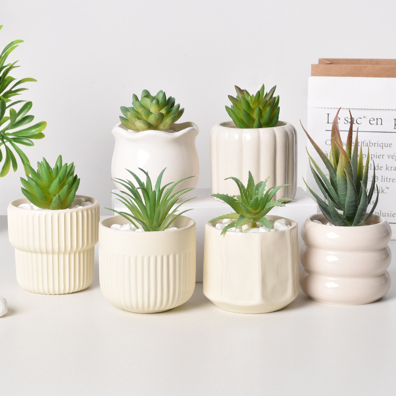 Self Watering Planter - Selbstbewässernder Sukkulenten-Pflanzgefäß aus Keramik, weißer, minimalistischer