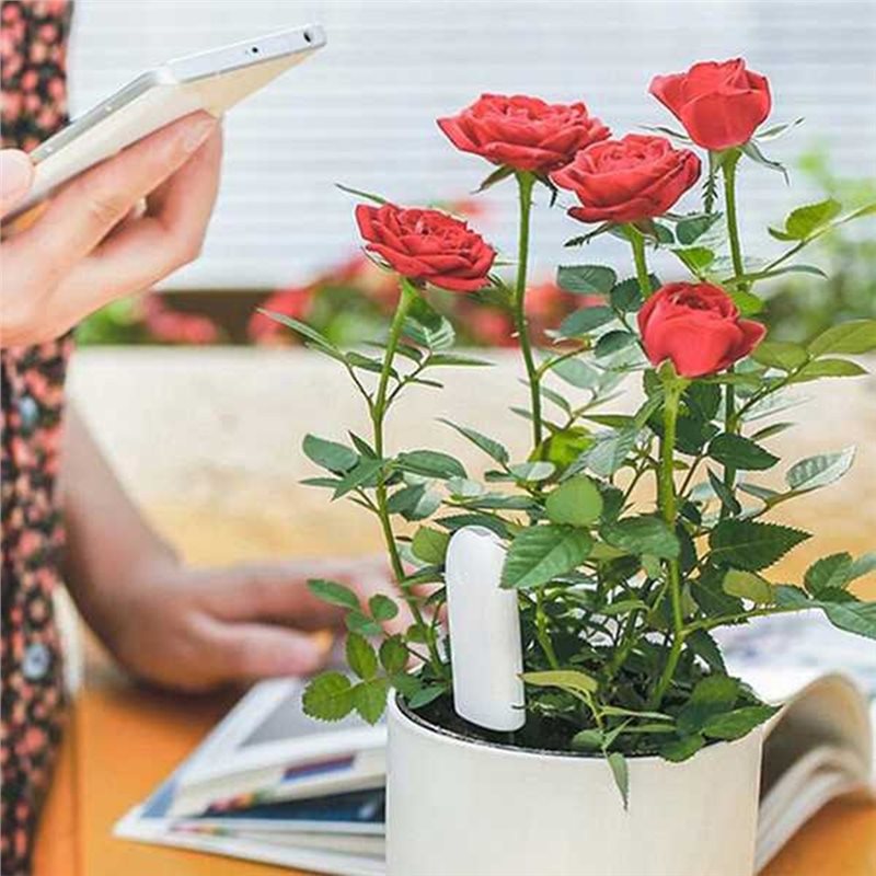 Plant Sensor - ABVG-Flora Intelligenter Blumenmonitor Gartenpflege Pflanzen-Gras-Boden-Wasser-Fruchtbarkeits-Tester Sensor