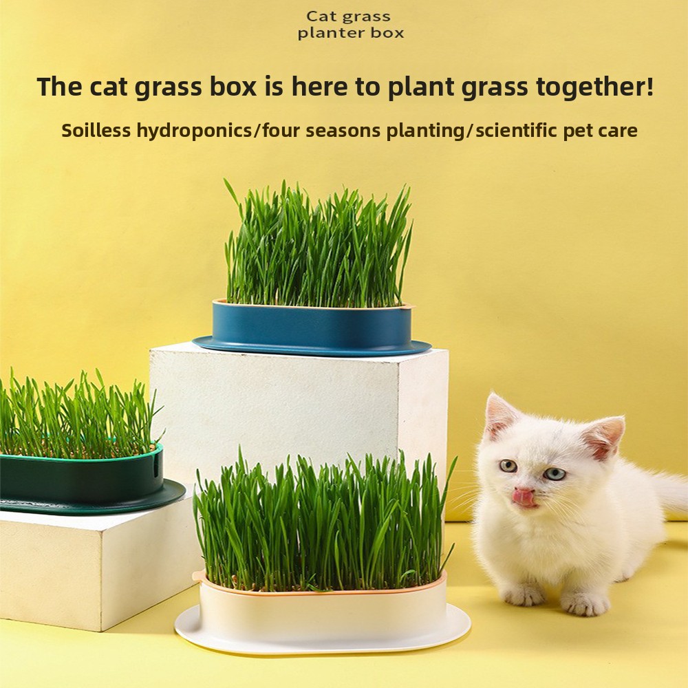Hydroponic Grow Pod - Heimtierbedarf, Katzensnacks, Katzenpflanzung, Hydrokulturbox, Katzengras, Topf,