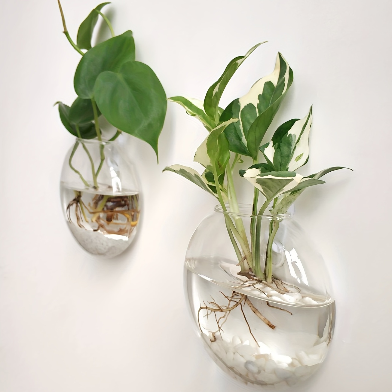 Hydroponic Grow Pod - 2 Stück/4 Stück/6 Stück Wandbehang Glas