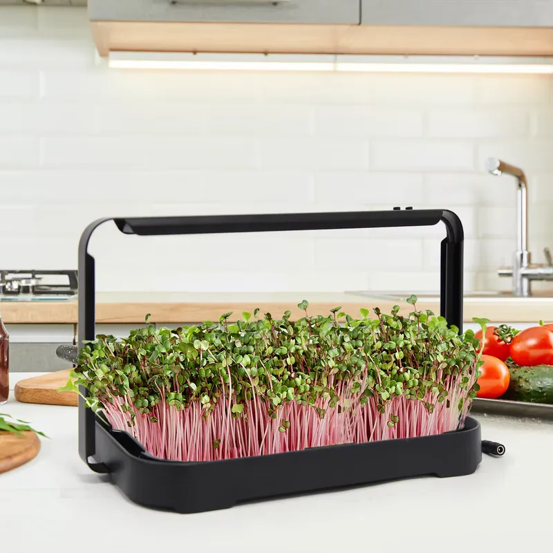 Smart Garden System - Hydroponisches Anzuchtsystem für den Innenbereich, Microgreen-Saatgut,