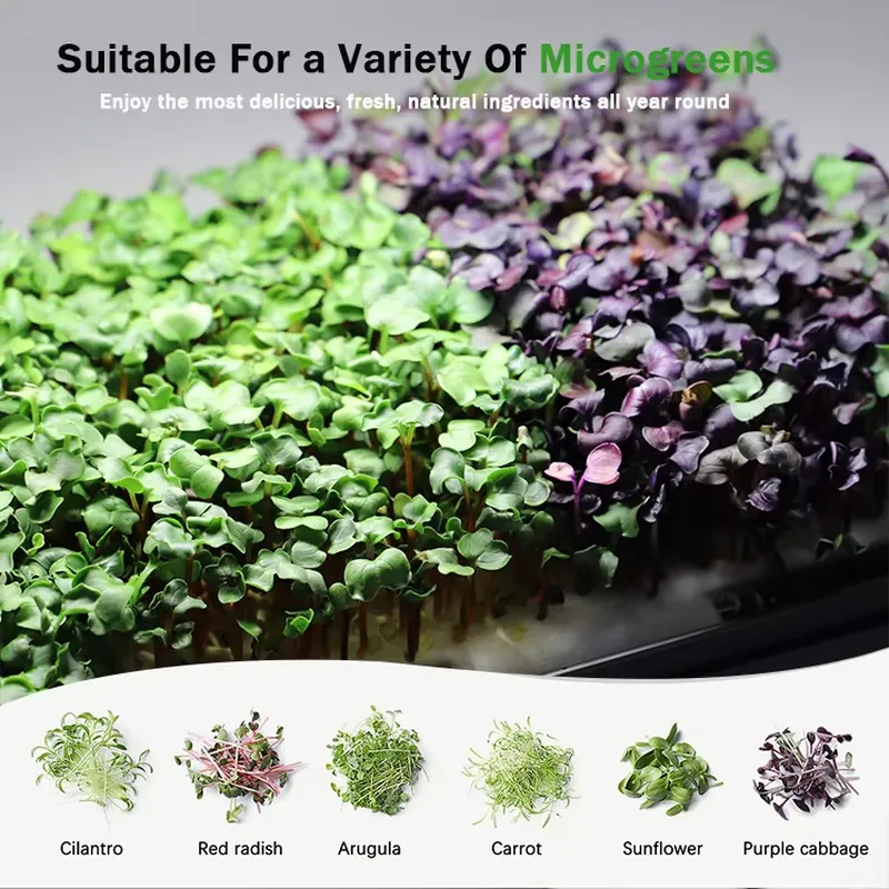 Microgreens Selbstbewässerndes – Self Watering Planter Bewertung und Preis
