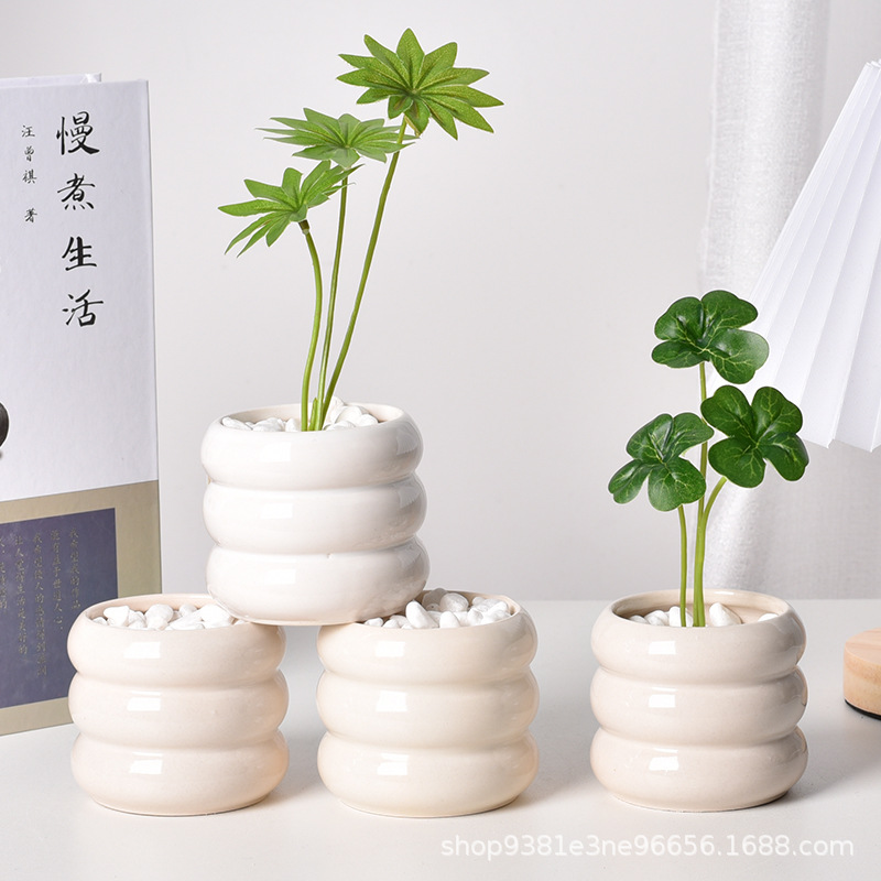 Selbstbewässernder Sukkulenten – Self Watering Planter Bewertung und Preis