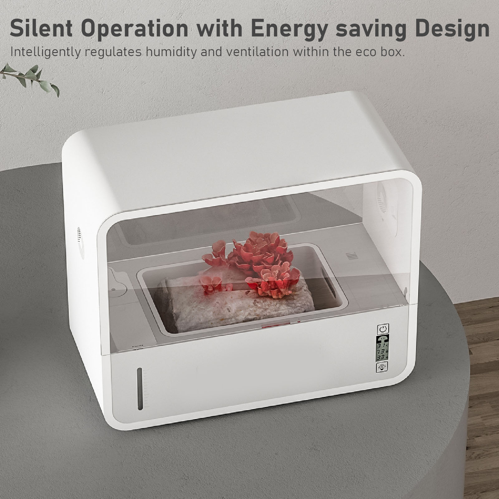 Pilzzucht-Zelt-Set Intelligent – Grow Light Led Bewertung und Preis