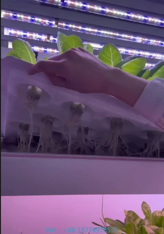 f Gewächshaus, landwirtschaftl – Hydroponic Tower Bewertung und Preis