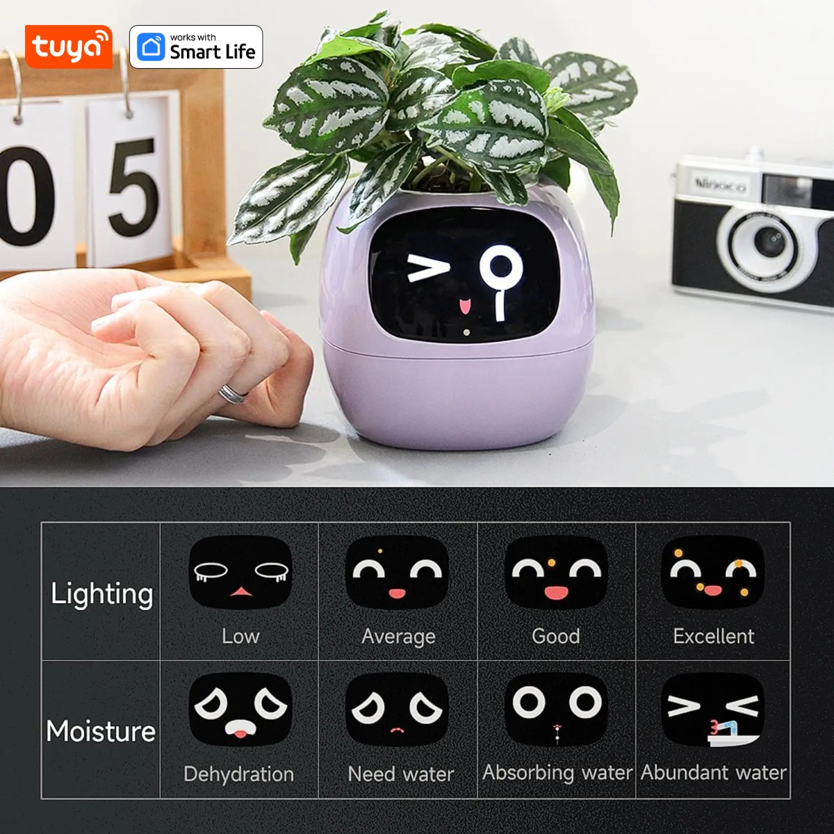 Pink Tuya Efeu Smart Planter,  – Smart Pot Bewertung und Preis