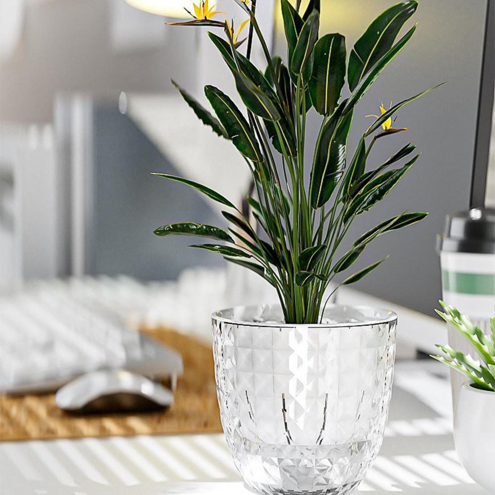 Transparenter Selbstbewässernd – Self Watering Planter Bewertung und Preis