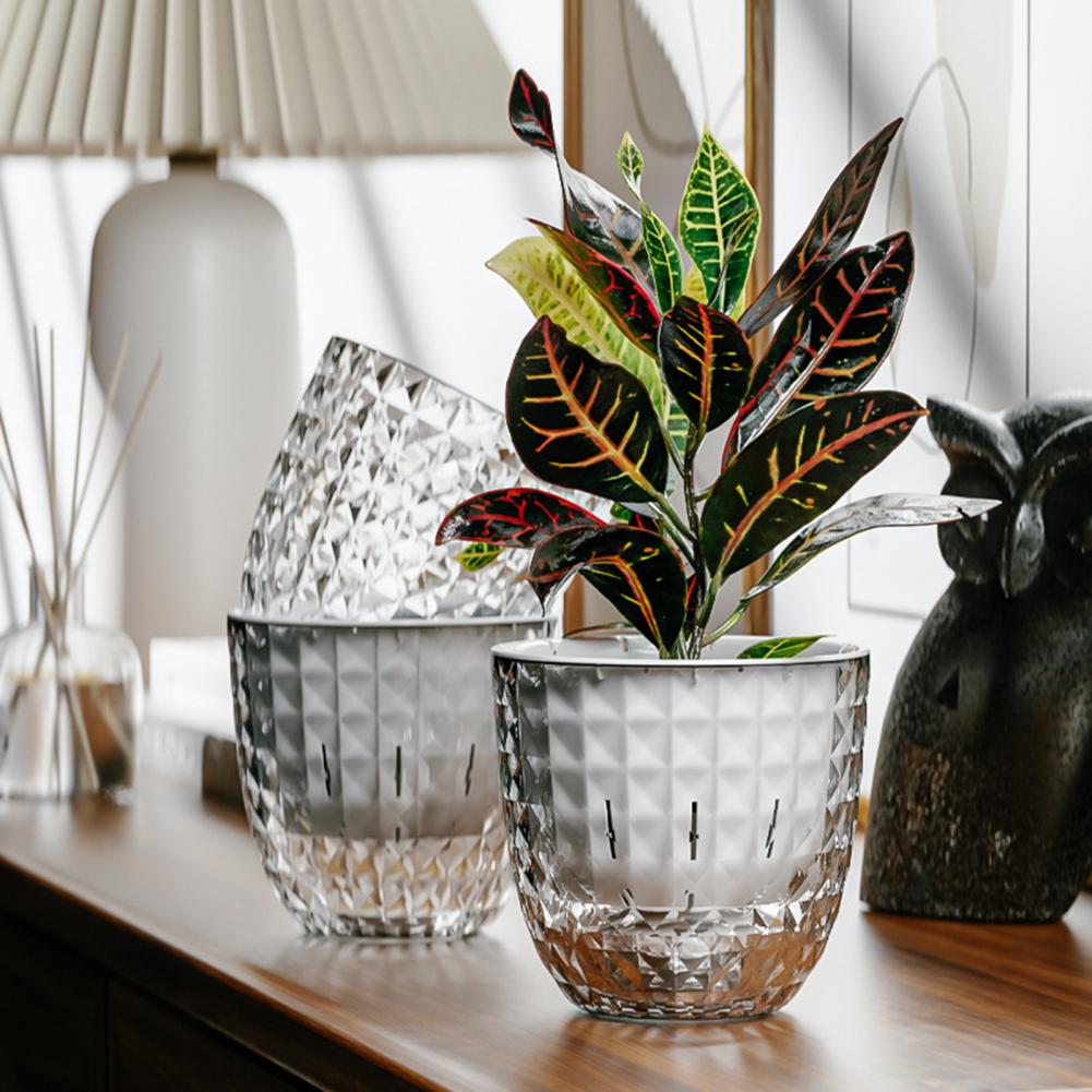 Transparenter Selbstbewässernd – Self Watering Planter Bewertung und Preis