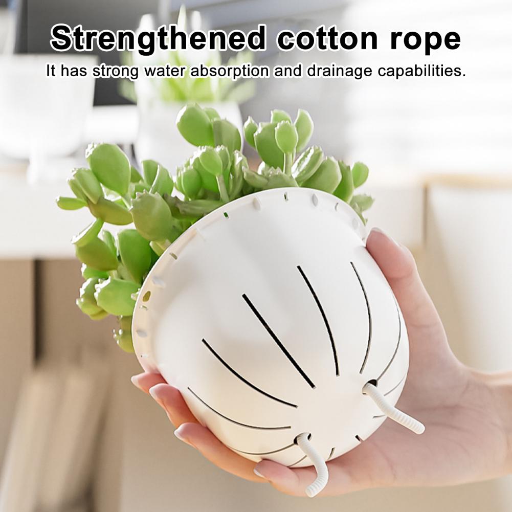 Transparenter Selbstbewässernd – Self Watering Planter Bewertung und Preis