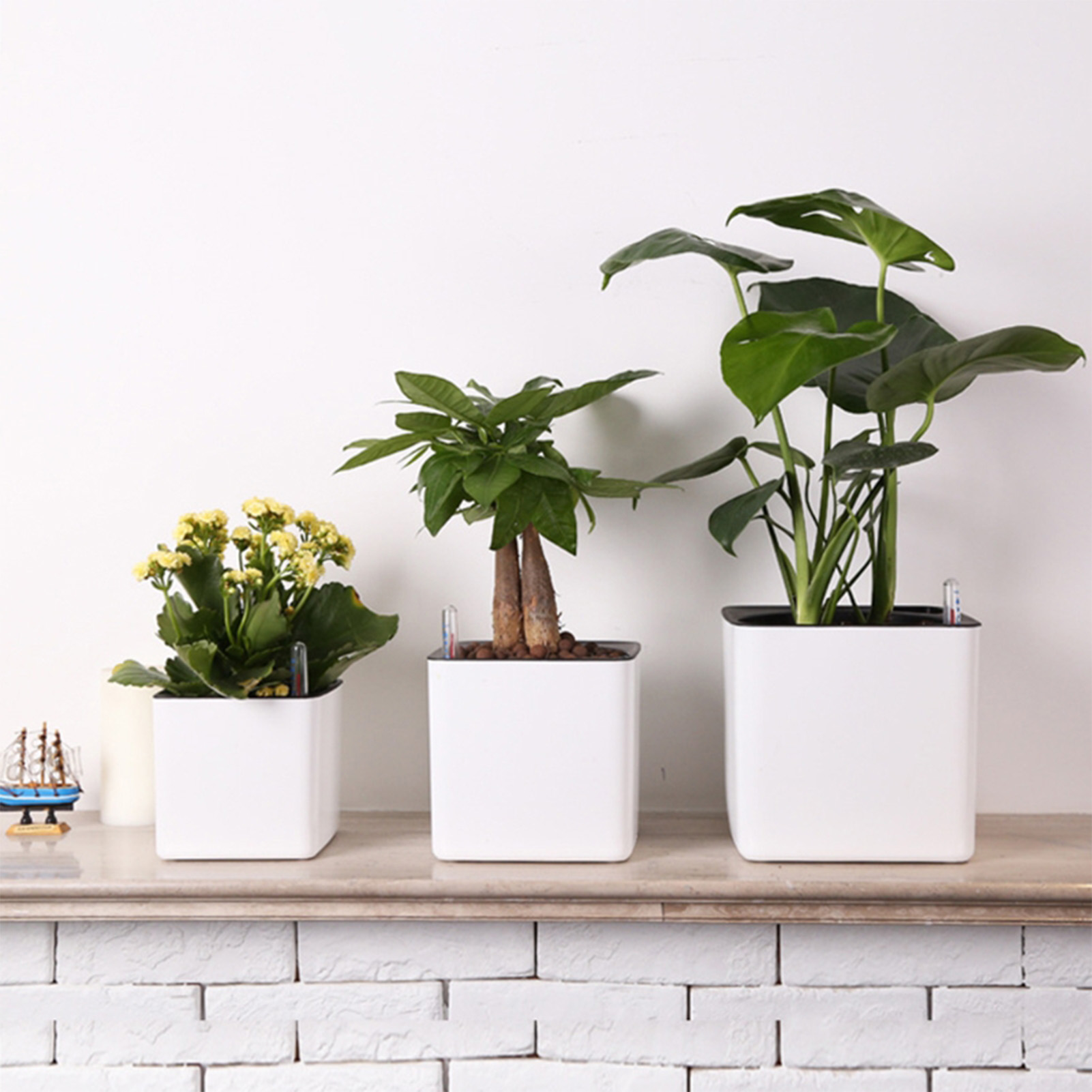 Selbstbewässernder Blumentopf  – Self Watering Planter Bewertung und Preis