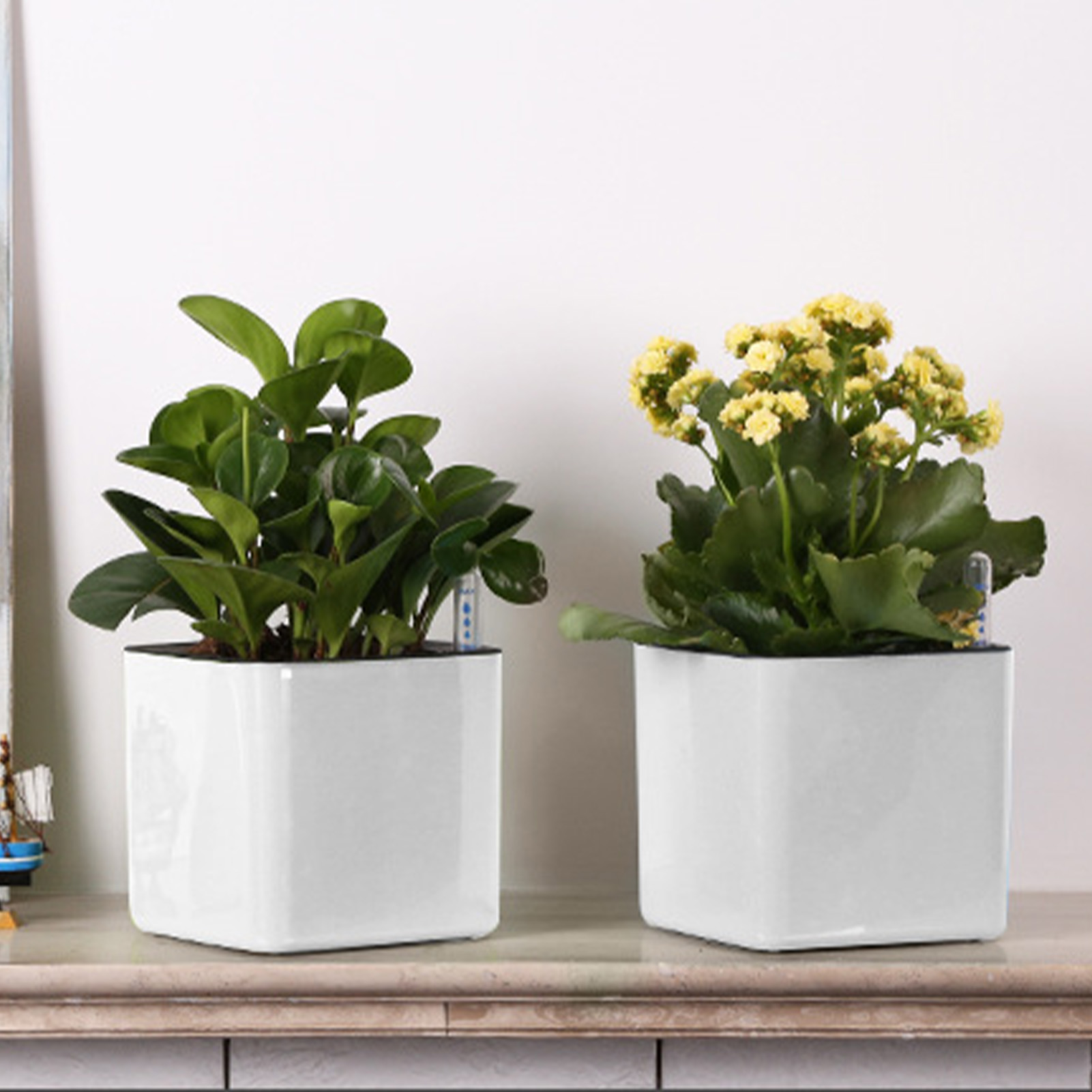 Selbstbewässernder Blumentopf  – Self Watering Planter Bewertung und Preis