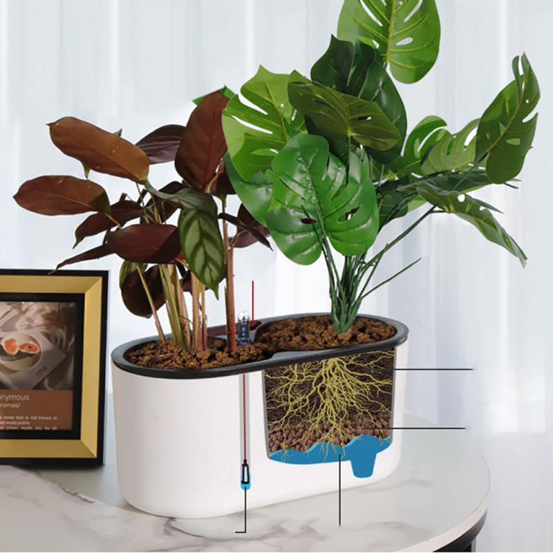 Indoor-Anlage Mit Anzeige Holz – Self Watering Planter Bewertung und Preis