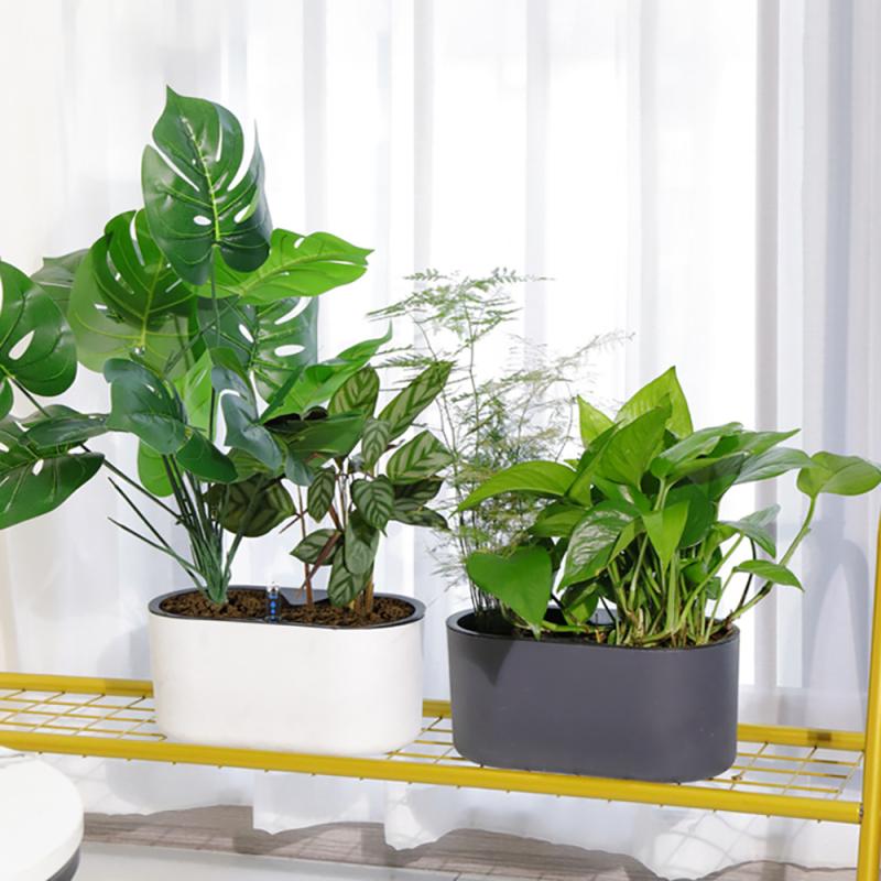 Indoor-Anlage Mit Anzeige Holz – Self Watering Planter Bewertung und Preis