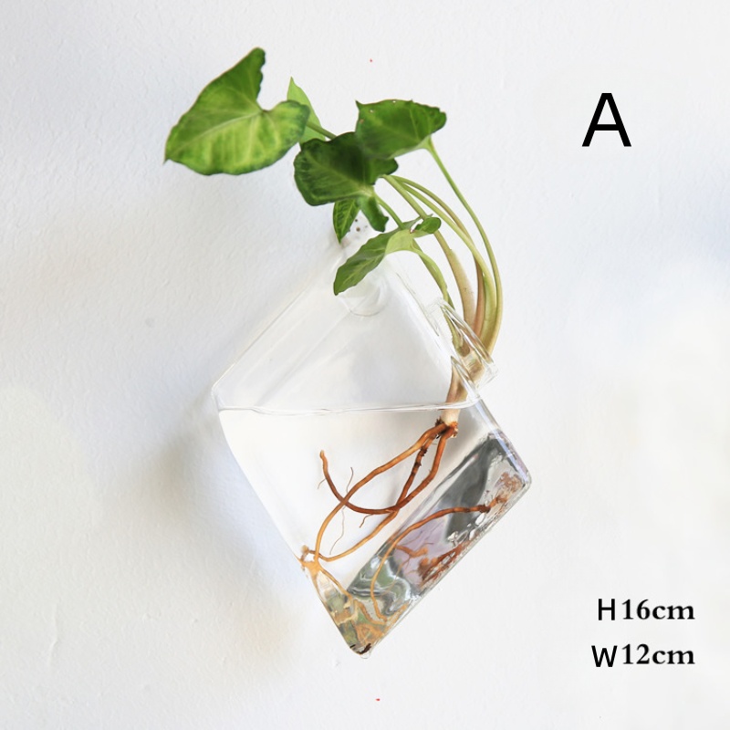 Wandbehang aus Glasterrarium – – Self Watering Planter Bewertung und Preis