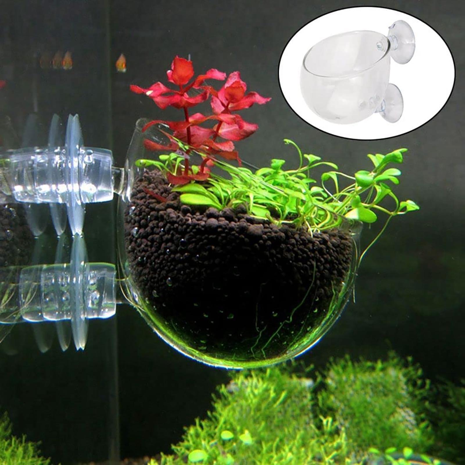Wasserpflanztopf, transparente – Hydroponic Grow Pod Bewertung und Preis