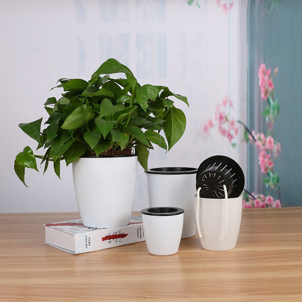 Automatische Bewässerung Blume – Self Watering Planter Bewertung und Preis