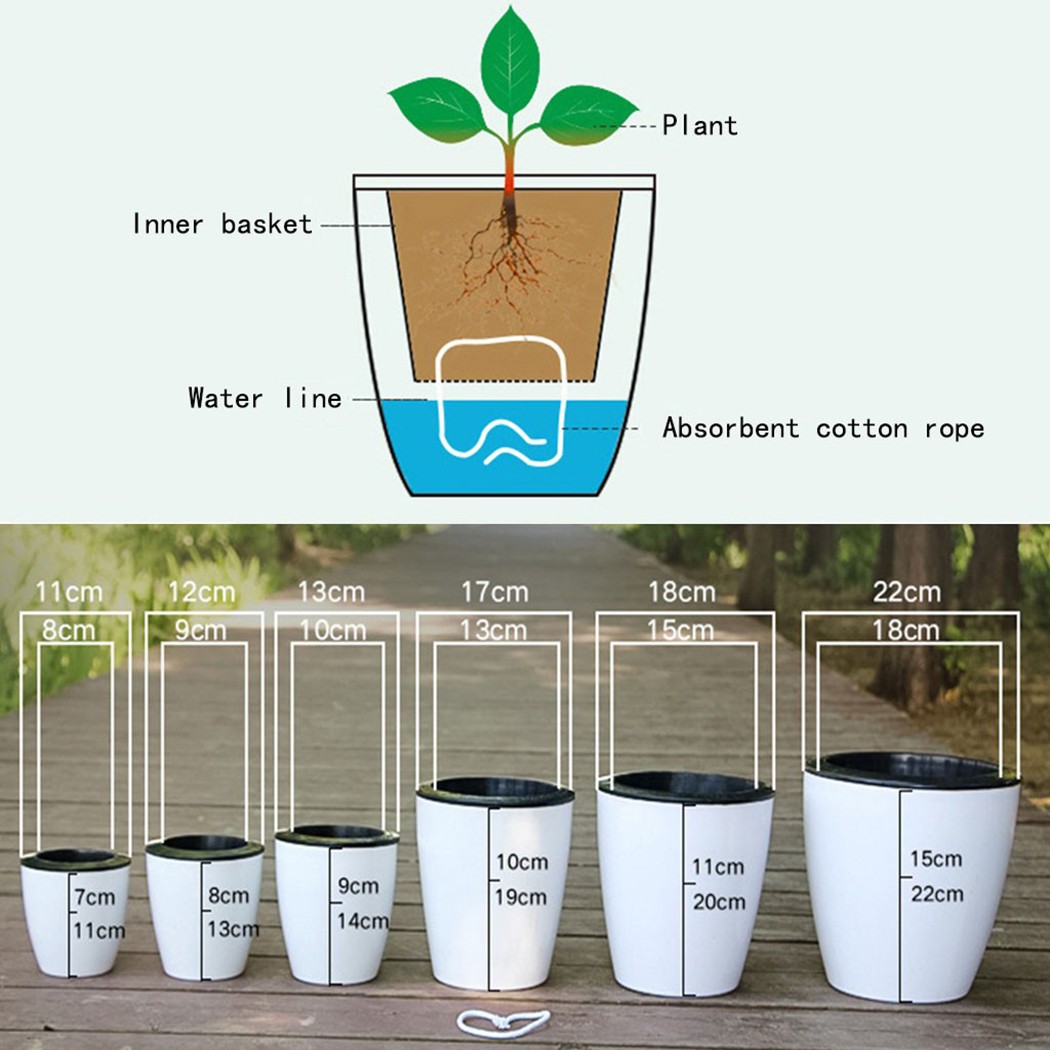 Automatische Bewässerung Blume – Self Watering Planter Bewertung und Preis