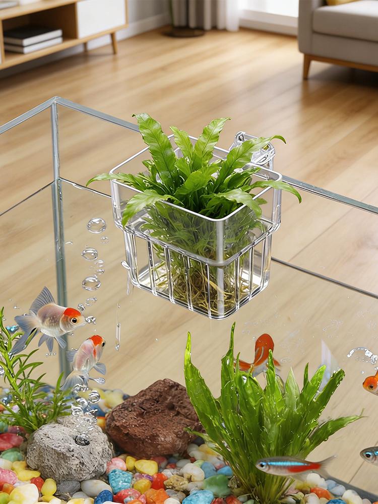 Transparenter Aquarien-Pflanze – Hydroponic Grow Pod Bewertung und Preis