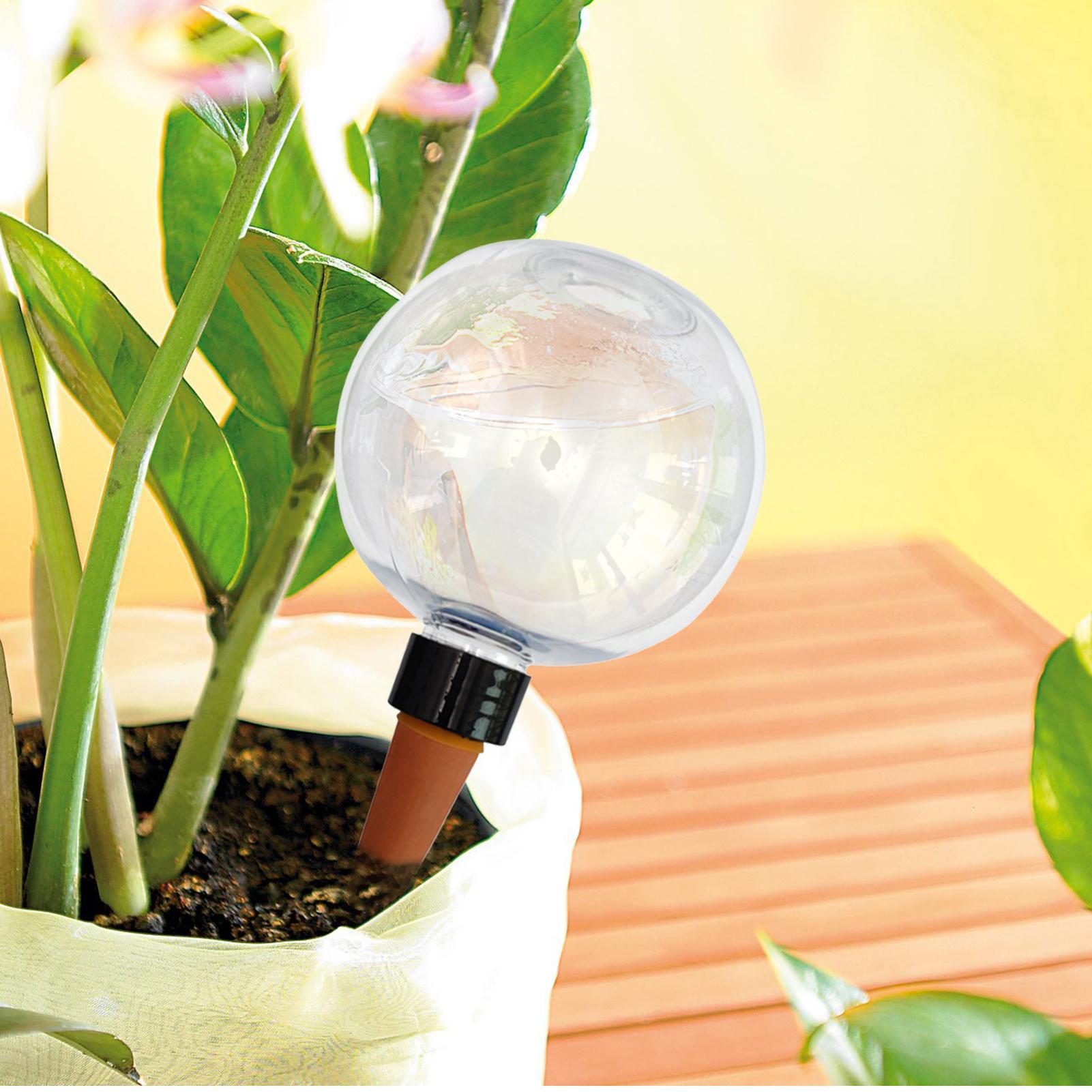 500 ml automatische Pflanzenbe – Self Watering Planter Bewertung und Preis