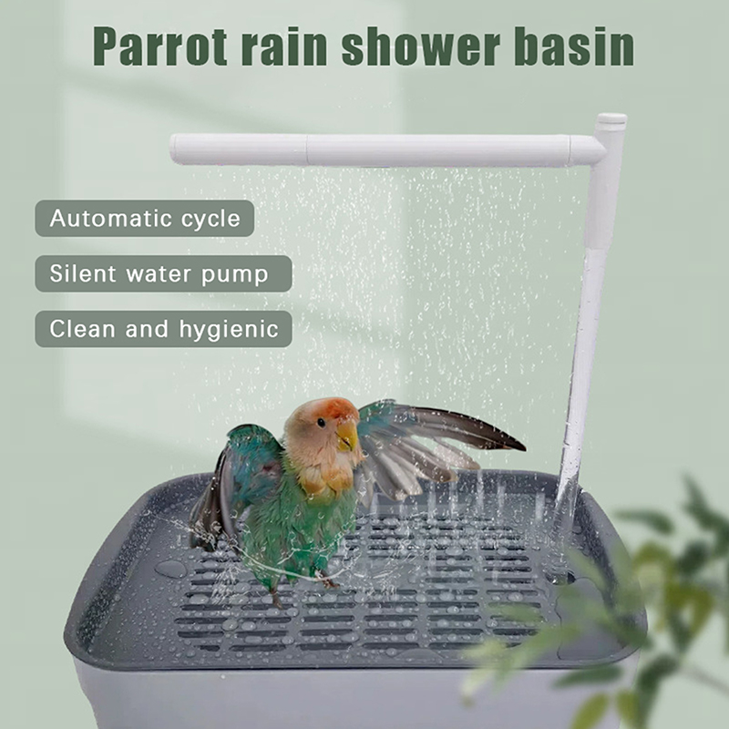 Neuer Verkauf 2026 Automatisch – Automatic Watering Bewertung und Preis